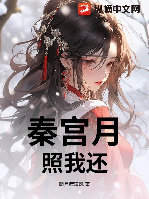 秦宫月，照我还